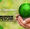 Atitudes Sustentáveis | Unidade Metso: Outotec