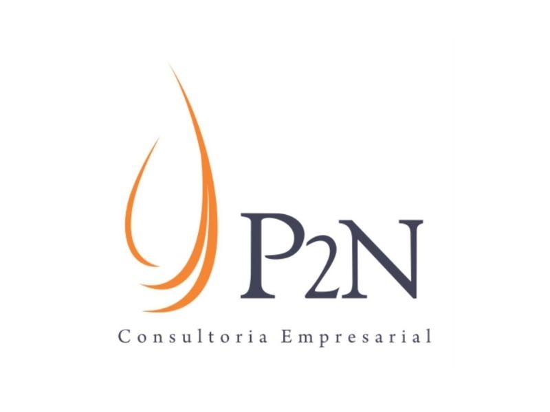 P2N - Consultoria Empresarial