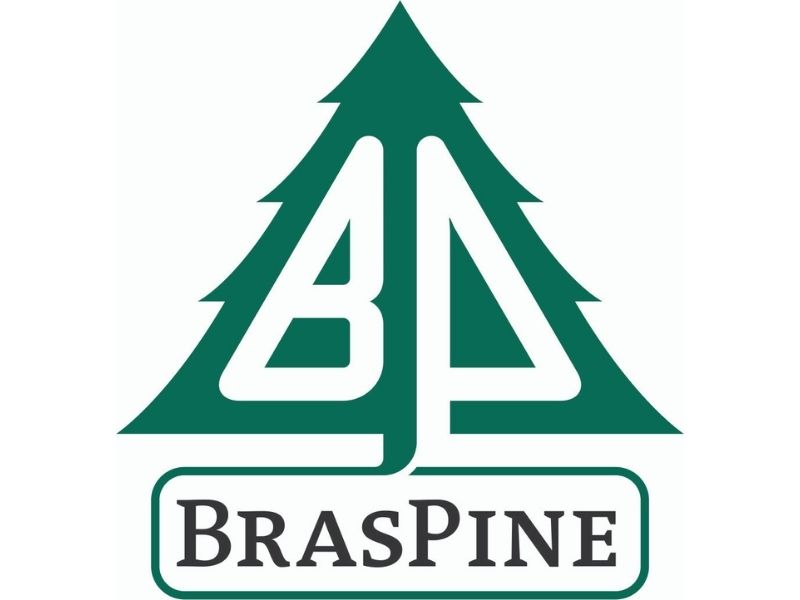 Braspine